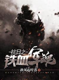 抗日之铁血军魂封面