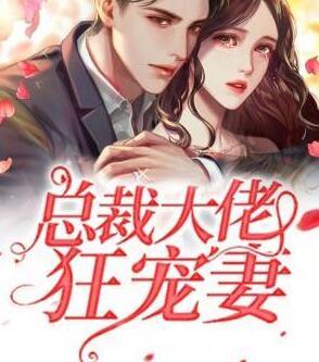 总裁大佬狂宠妻封面