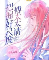 许倾城傅靖霆小说大结局封面