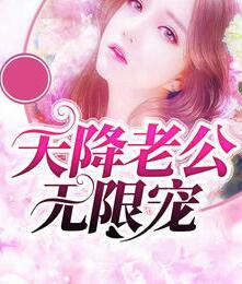 天降老公无限宠封面