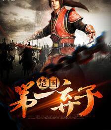 楚嬴容妃穿越小说封面