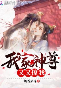 霍少追妻太上头了何秋意封面