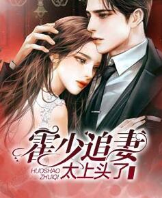 霍少追妻太上头了封面