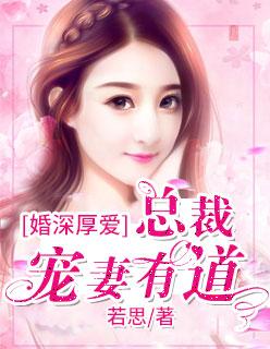 宋时微陆思衍封面