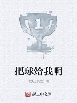 把球给我啊封面