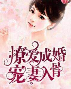 爱你执迷不悟封面