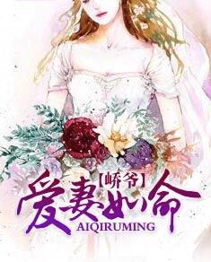 峤爷，夫人被你惯坏了！封面